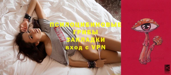 винт Алексин