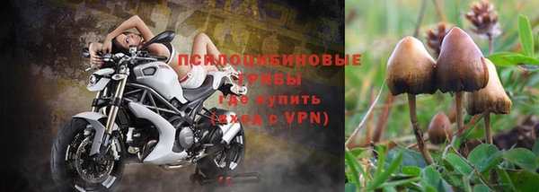 наркотики Алексеевка
